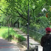 外濠公園の写真・動画_image_74758