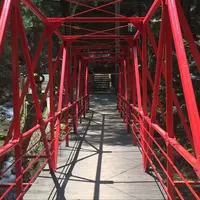 大嶽山那賀都神社の写真・動画_image_74768