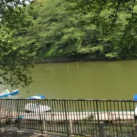 千鳥ヶ淵の写真・動画_image_74772