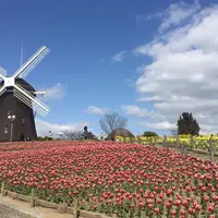 花博記念公園鶴見緑地の写真・動画_image_74776