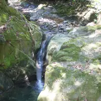 アンティークカフェロードの写真・動画_image_74782