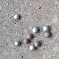 国営昭和記念公園の写真・動画_image_74790