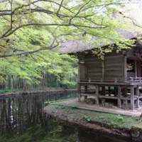 中尊寺の写真・動画_image_7493