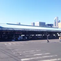 東京都中央卸売市場築地市場の写真・動画_image_75021