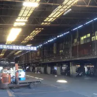 東京都中央卸売市場築地市場の写真・動画_image_75022