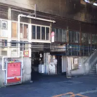 東京都中央卸売市場築地市場の写真・動画_image_75023