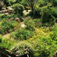 常滑市陶磁器会館の写真・動画_image_75055