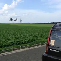 コッタロ湿原展望台の写真・動画_image_75116
