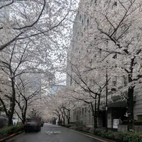 貨幣博物館の写真・動画_image_751489