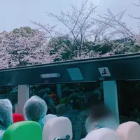 東京駅 はとバスのりばの写真・動画_image_751559