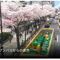 東京駅 はとバスのりばの写真・動画_image_751565