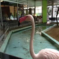 大洗港の写真・動画_image_75160