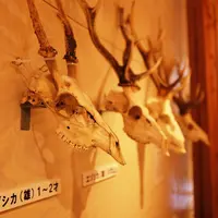 ひがし大雪自然館の写真・動画_image_75189