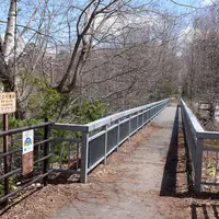 三の沢橋梁の写真・動画_image_75196