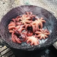浜名湖の写真・動画_image_7527