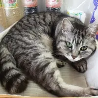 野崎屋の写真・動画_image_7535