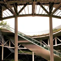 国営昭和記念公園の写真・動画_image_75665