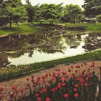 国営昭和記念公園の写真・動画_image_75667