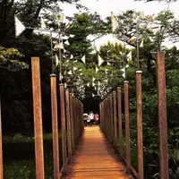 国営昭和記念公園の写真・動画_image_75670