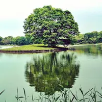 国営昭和記念公園の写真・動画_image_75671