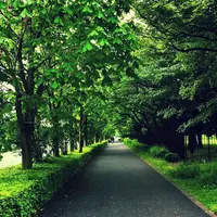 国営昭和記念公園の写真・動画_image_75672