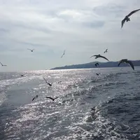 黒船サスケハナの写真・動画_image_75758