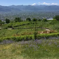 笛吹川フルーツ公園・フルーツセンターの写真・動画_image_75777