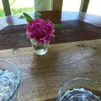 農カフェｈａｋａｒｉの写真・動画_image_75787