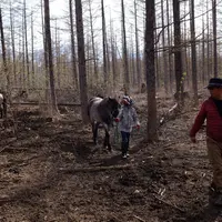森の馬小屋の写真・動画_image_75808