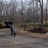 森の馬小屋の写真・動画_image_75809