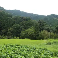 ステラート（Stellato）の写真・動画_image_7586