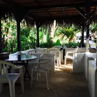 Pani Paniの写真・動画_image_75869