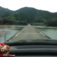 佐田沈下橋の写真・動画_image_75947