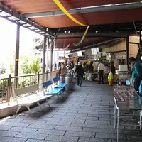 竹生島・宝厳寺の写真・動画_image_7600
