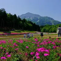 羊山公園の写真・動画_image_76009
