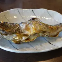 山麓亭三峰お犬茶屋の写真・動画_image_76173