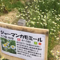 パルシェ香りの館の写真・動画_image_76178