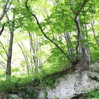 川治温泉の写真・動画_image_76189