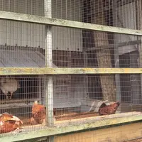 北坂養鶏場の写真・動画_image_76191
