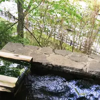 星野リゾート 界 川治の写真・動画_image_76197