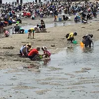 潮干狩りの写真・動画_image_76286