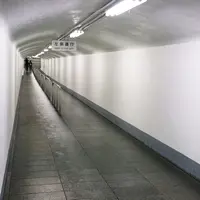 華厳ノ滝の写真・動画_image_76292