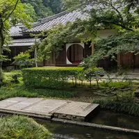 明月院（あじさい寺）の写真・動画_image_764183