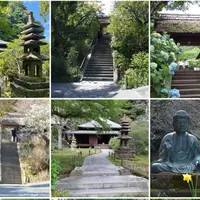 東慶寺の写真・動画_image_764200