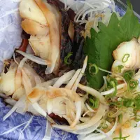 ひろめ市場の写真・動画_image_76469