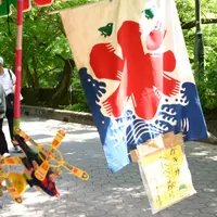袋田の滝の写真・動画_image_76489