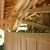 御岩神社の写真・動画_image_76512