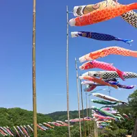 竜神大吊橋の写真・動画_image_76515