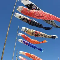 竜神大吊橋の写真・動画_image_76517