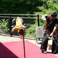 竜神大吊橋の写真・動画_image_76518